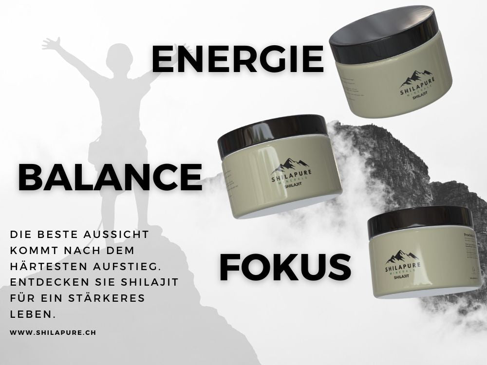 SHILAPURE - 100% Shilajit aus dem Himalaya