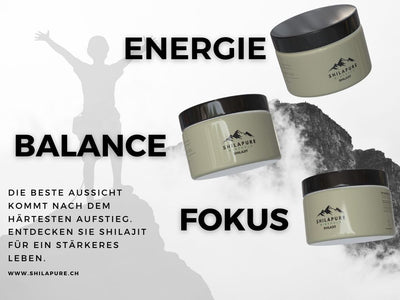 SHILAPURE - 100% Shilajit aus dem Himalaya